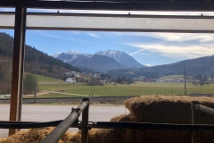 Germany_II